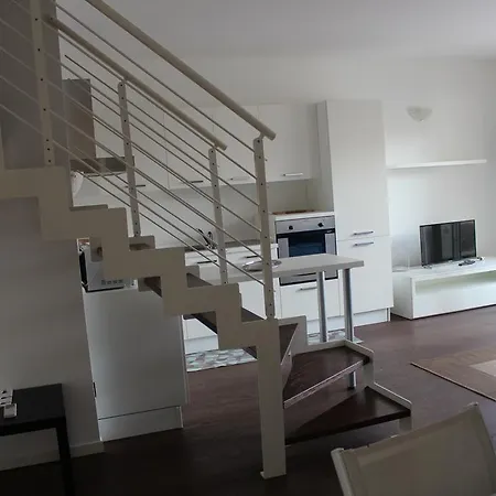 Pineta Milano Marittima
